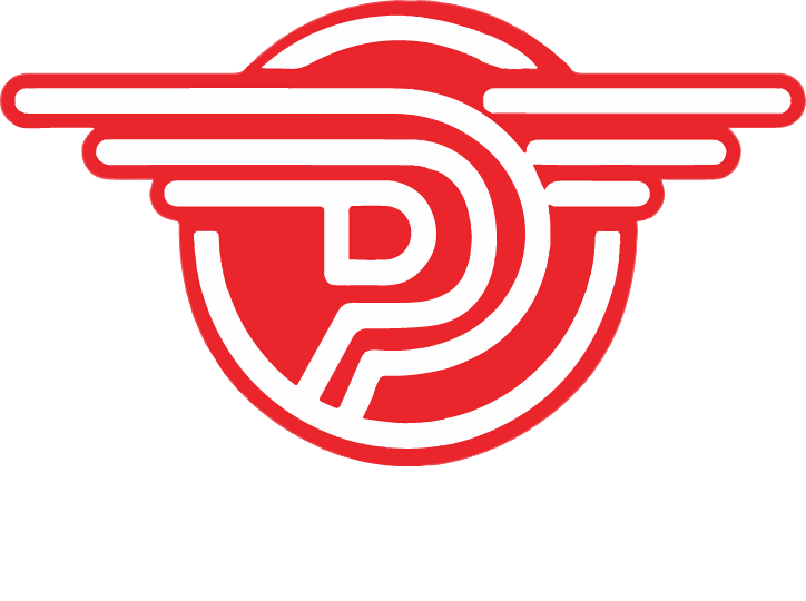 One Day Pilot